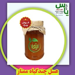 عسل چندگیاه ممتاز طبیعی و درمــانی با ضمانت کیفیت و تضمین مرجوعی وجه.   هایپرکالای یاس