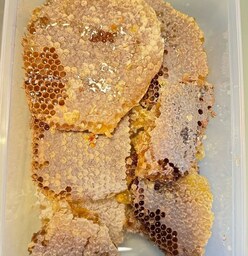 عسل طبیعی در جه یک مرتع  زنبورستان  گل ماهور اعلا  700گرم  خالص