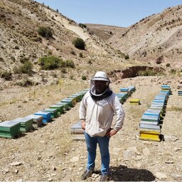 عسل طبیعی چهل گیاه مرتع زنبورستان مهندس قربانی پاییزه 0.5 کیلویی خالص