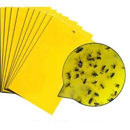 چسب زرد جذب کننده حشرات بدون بو و ماندگاری بالا