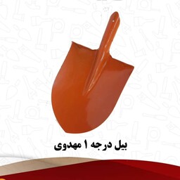 بیل مهدوی با 5سال ضمانت