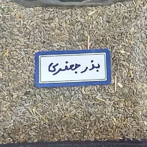 بذر سبزی جعفری 