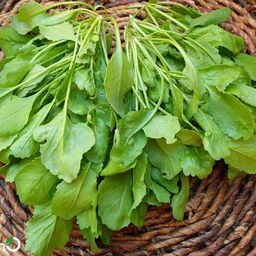 بذر سبزی شاهی پهن برگ برای کاشت در باغچه-باغات و گلدان خانگی