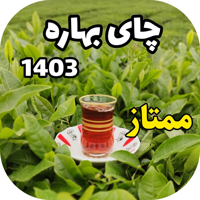 چای ممتاز بهاره 1402 قیصر 500 گرم