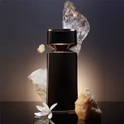 عطر تایگار بولگاری.گرید H.مردانه زنانه.خنک ترش کمی تلخ.یک گرم