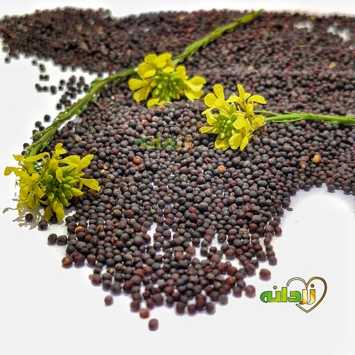 روغن کلزا 1 لیتری