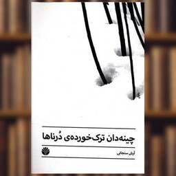 کتاب چینه دان ترک خورده درناها اثر آرش سنجابی