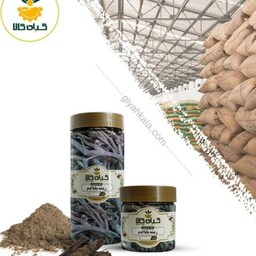 باباآدم با کیفیت عالی، بار امسالی و تازه(250 گرمی)