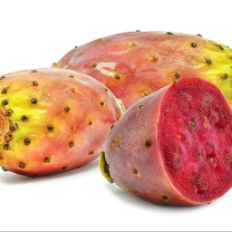 بذر کاکتوس اپونتیا میوه دار قرمز 10 عددی