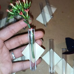 گلدان مگنتی مدل لوله آزمایشگاهی 