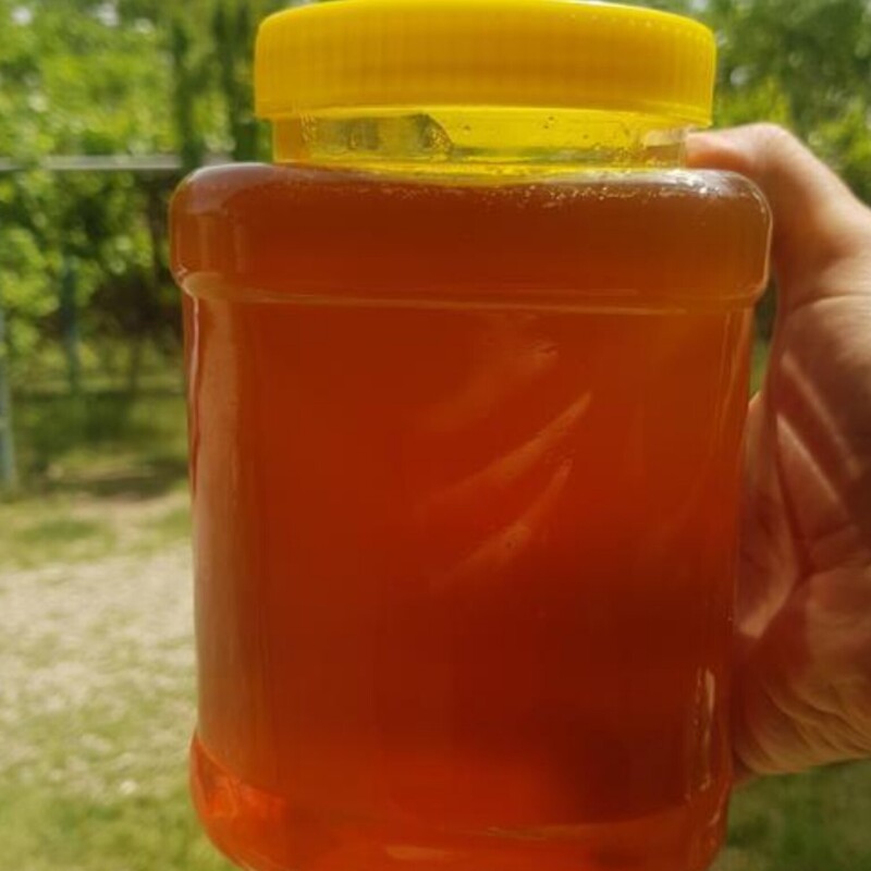 عسل کنار خالص دیابتی (1 کیلو گرمی)  