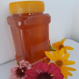 عسل گون طبیعی (1 کیلو گرمی) 