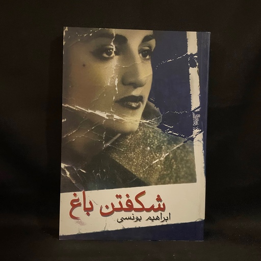 کتاب رمان شکفتن باغ نی نی