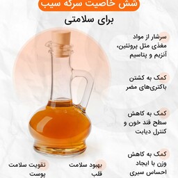 سرکه سیب خانگی تخمیری کاملا ارگانیک 