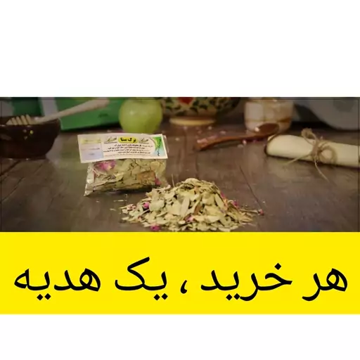 برگ سنا ( چربی خون و کبد چرب و چربی دور شکم )