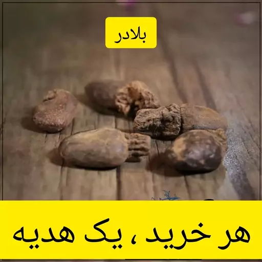 بلادر ( بواسیر نر )