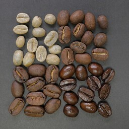 پودر قهوه اسپرسو Caramella پرکافیین با تلخی ملایم