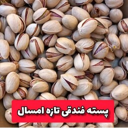 پسته فندقی اجیلی درجه یک و لوکس امسالی ترد و تازه با تضمین کیفیت و مرجوعی یک کیلویی 