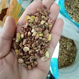 مغز پسته درجه 3 یا گندمی سه کیلویی