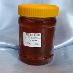 عسل چند گیاه معمولی (نیم کیلویی)