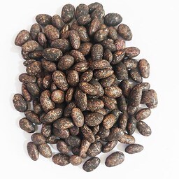 بذر لوبیا چیتی پاکوتاه اصلاح شده زودرس آمریکایی یک کیلوگرم