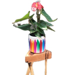 گلدان سرامیکی هفت رنگ طرح استوانه سایز کوچیک