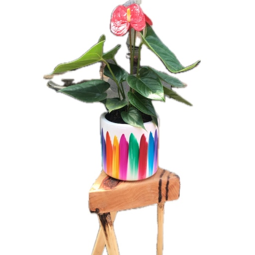گلدان استوانه سرامیکی هفت رنگ سایز متوسط