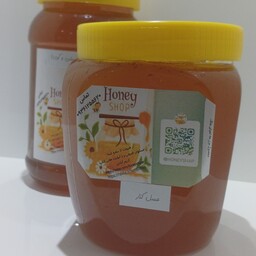 پک کامل عسل کوهی (آویشن و گون) اردبیل یک کیلویی به همراه یک کیلو عسل کنار درجه یک و 50 گرم ترکیب ژل رویال با عسل