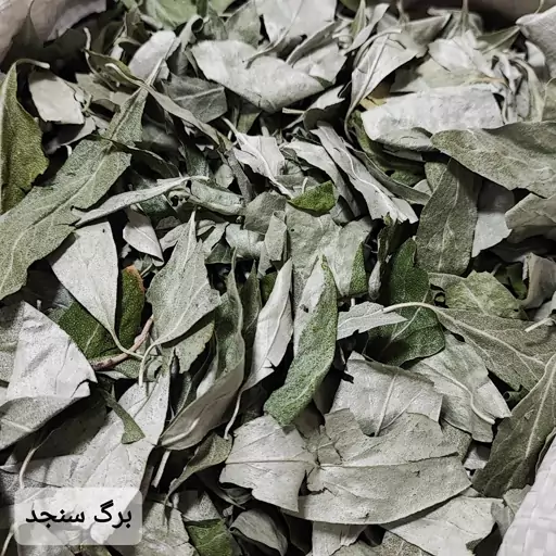 برگ سنجد طبیعی و تازه ( 20 گرمی )