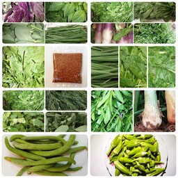 پکیج بذر سبزیجات نوید  مجموعه 19عددی مدل 50 گرمی