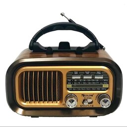 رادیو گولون مدل RX-BT628 - بلوتوث دار-فلش خور
