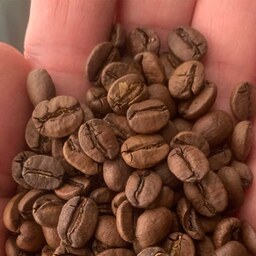 قهوه کلمبیا سوپریمو دون خام بار امسالی حجم 1 کیلو