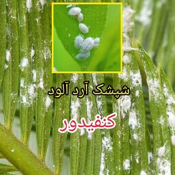 سم کنفیدور مایع (مخصوص شپشک آرد آلود و تریپس و شته و... )