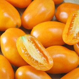 بذر گوجه موزی نارنجی (یک عدد )کد40