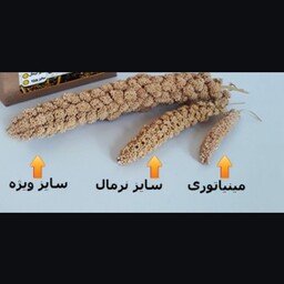 200 تا 250 گرم ارزن خوشه ای طوطیسانان و پرندگان سایز نرمال