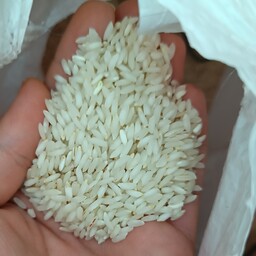 برنج عنبربو درجه 1 امساله 10کیلویی