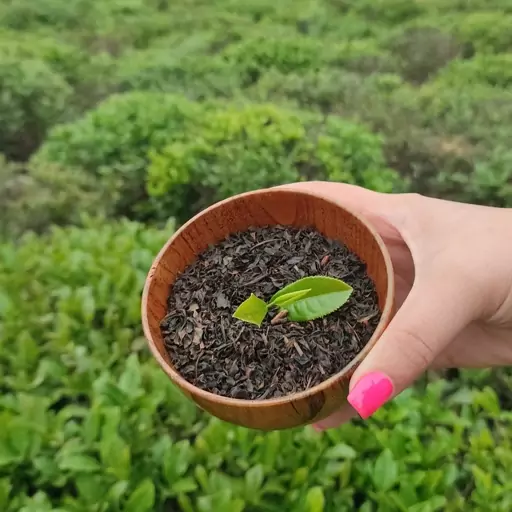 چای ممتاز لاهیجان  1 کیلویی چای ممتاز  یک کیلویی چای ممتاز گیلان چای لاهیجان چای گیلان چای درجه یک لاهیجان چای ایرانی