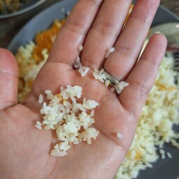 برنج صدری هاشمی  نیم دانه (بسته 5 کیلویی)