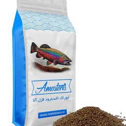 غذای ماهی قزل الا مهدانه البرز (پرواری 2)