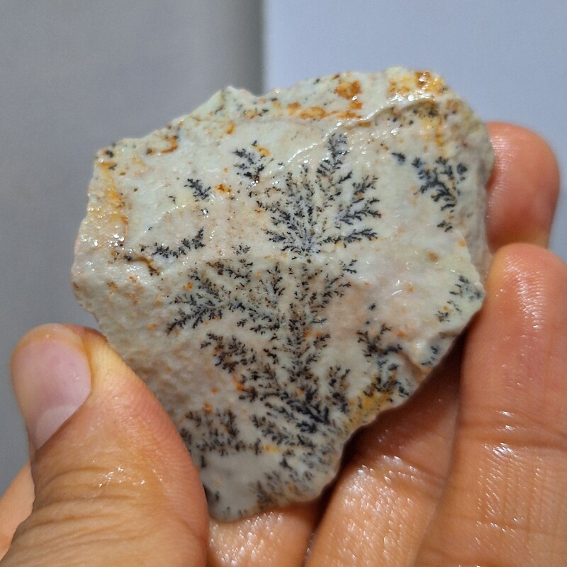 سنگ راف شجر دندریتی بسیار با کیفیت صد در صد طبیعی کد 18914