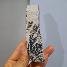 سنگ راف شجر دندریتی بسیار با کیفیت صد در صد طبیعی کد 18920