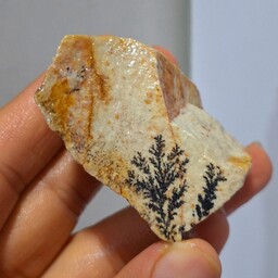 سنگ راف شجر دندریتی بسیار با کیفیت صد در صد طبیعی کد 18918