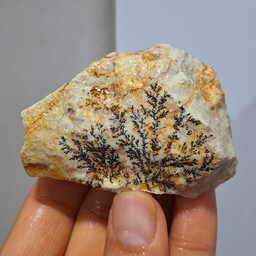سنگ راف شجر دندریتی بسیار با کیفیت صد در صد طبیعی کد 18917