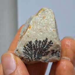 سنگ راف شجر دندریتی بسیار با کیفیت صد در صد طبیعی کد 18911