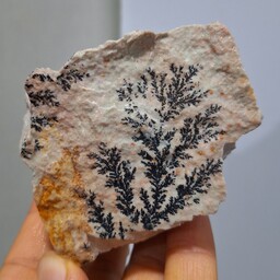 سنگ راف شجر دندریتی بسیار با کیفیت صد در صد طبیعی کد 19482