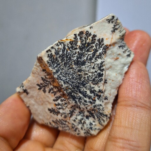سنگ راف شجر دندریتی بسیار با کیفیت صد در صد طبیعی کد 19481