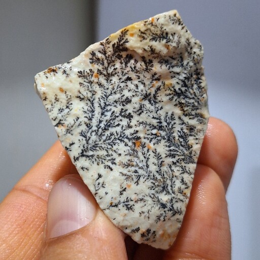 سنگ راف شجر دندریتی بسیار با کیفیت صد در صد طبیعی کد 19486