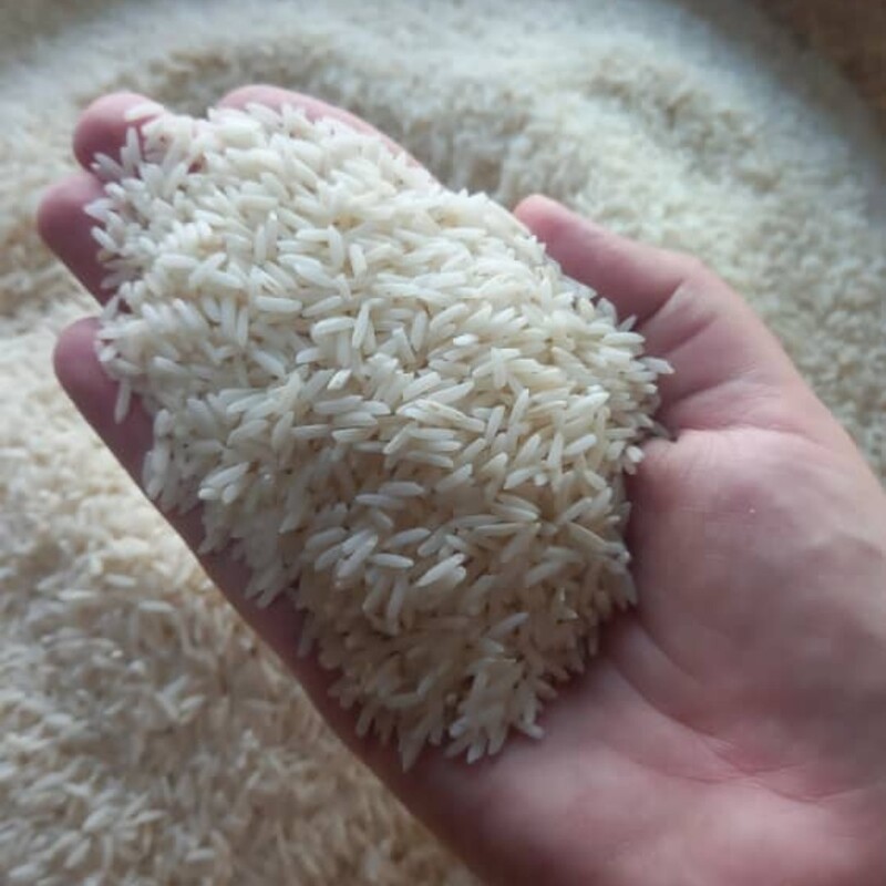 برنج هاشمی اصل فوق العاده خوش پخت 
