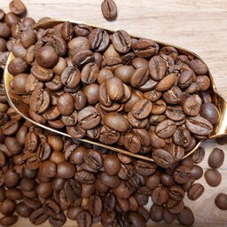 قهوه روبوستا 70درصد 250گرمی میکس3070نیکاکافی