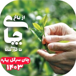 چای لاهیجان سیاه ممتاز  بهاره امساله گیلان (تضمین کیفیت) 1000گرمی تولید تازه 